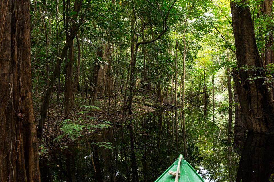 Amazonia Parksuites Novo Airão Exterior foto